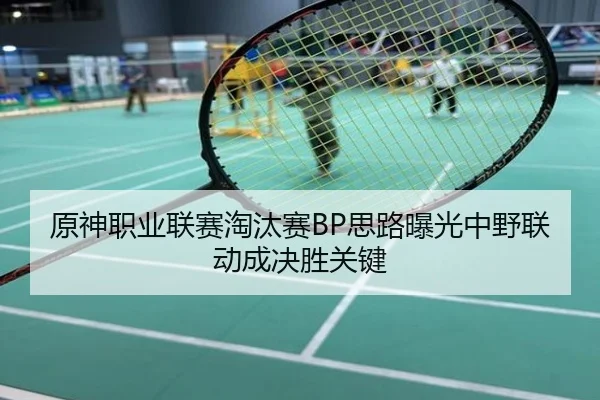 原神职业联赛淘汰赛BP思路曝光中野联动成决胜关键